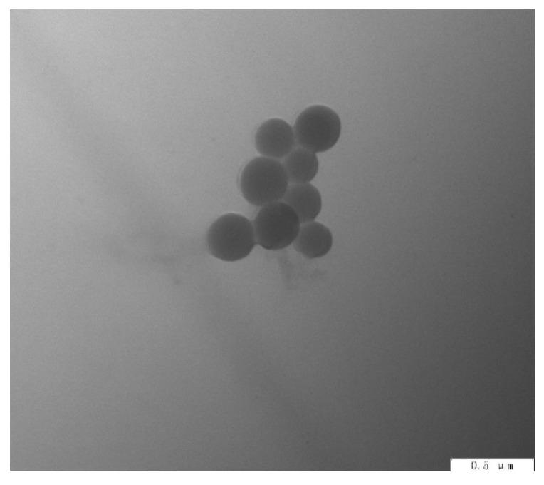 https://cdn.ncbi.nlm.nih.gov/pmc/blobs/7a83/8659217/d33efd8967d1/polymers-13-04097-g009.jpg