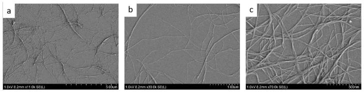 https://cdn.ncbi.nlm.nih.gov/pmc/blobs/7a83/8706025/9afc4b36a1cd/polymers-13-04346-g001.jpg