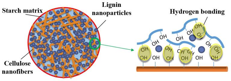 https://cdn.ncbi.nlm.nih.gov/pmc/blobs/7a83/8706025/b6003171f4a8/polymers-13-04346-g007.jpg