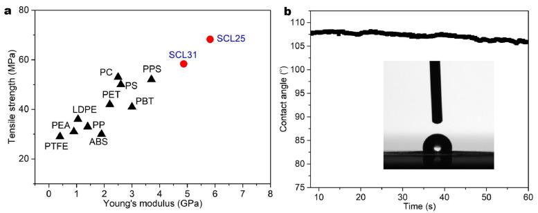 https://cdn.ncbi.nlm.nih.gov/pmc/blobs/7a83/8706025/fa4e9067954c/polymers-13-04346-g006.jpg