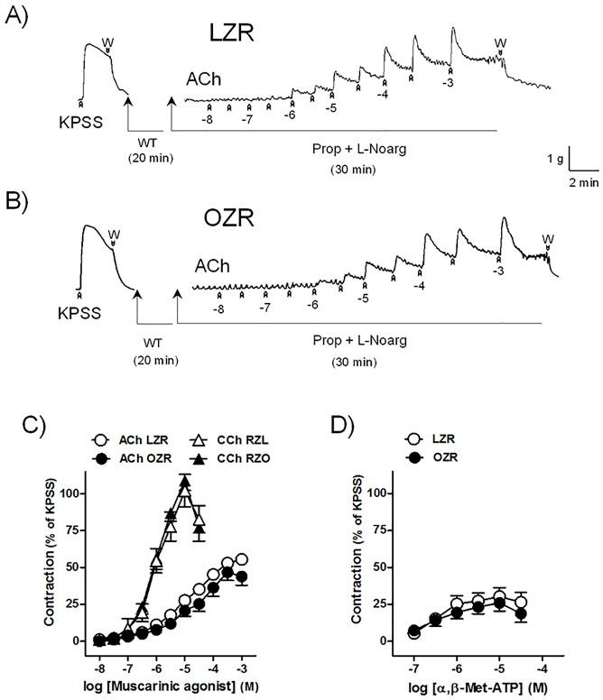 https://cdn.ncbi.nlm.nih.gov/pmc/blobs/7a85/4902197/2cb52a8c9399/pone.0157424.g003.jpg