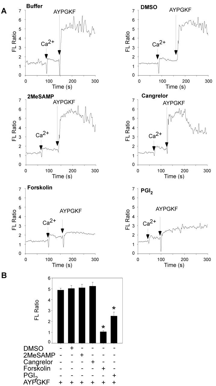 https://cdn.ncbi.nlm.nih.gov/pmc/blobs/7a87/3516503/0b5b50efd318/pone.0051037.g004.jpg