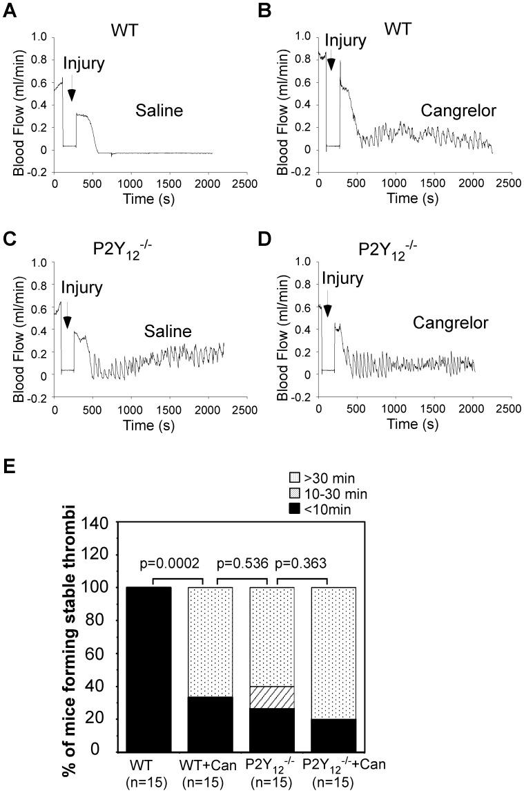 https://cdn.ncbi.nlm.nih.gov/pmc/blobs/7a87/3516503/2de9a1be79d0/pone.0051037.g006.jpg