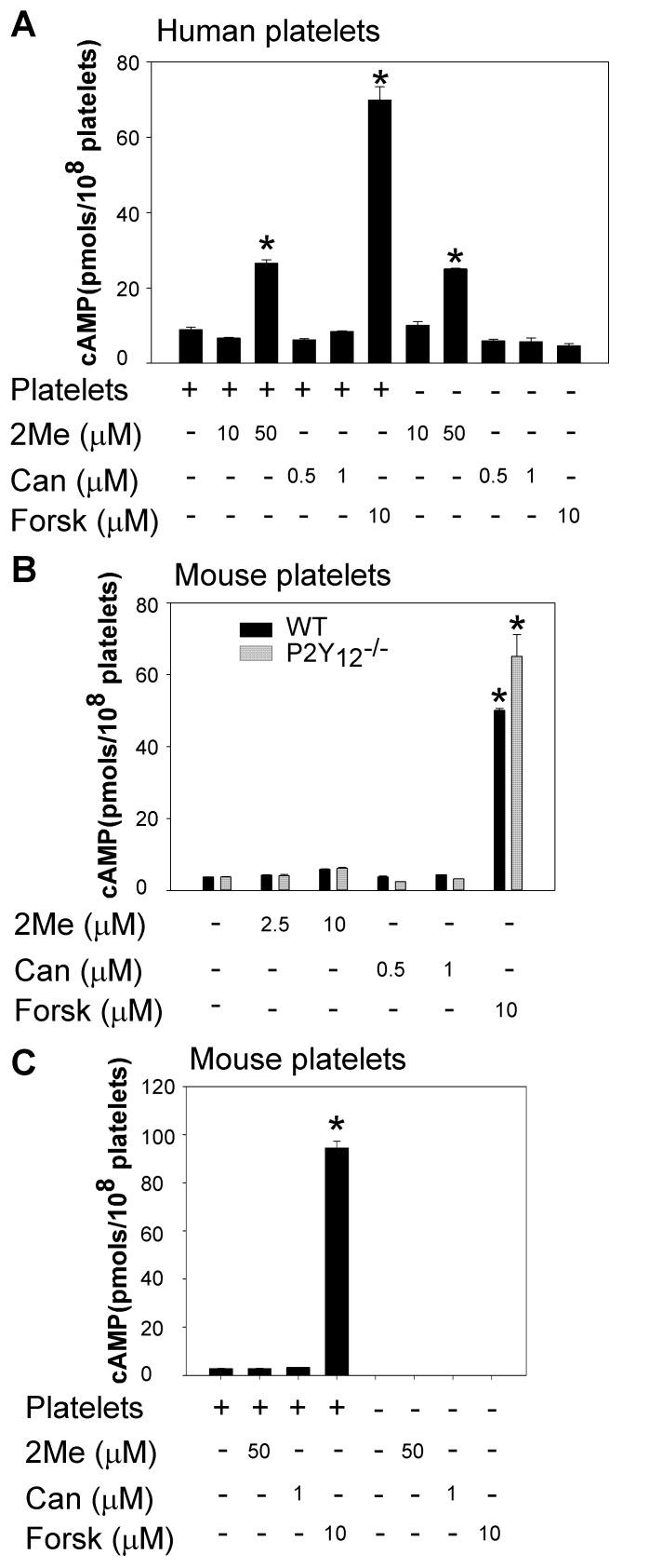 https://cdn.ncbi.nlm.nih.gov/pmc/blobs/7a87/3516503/a7fbaa3f87d2/pone.0051037.g002.jpg