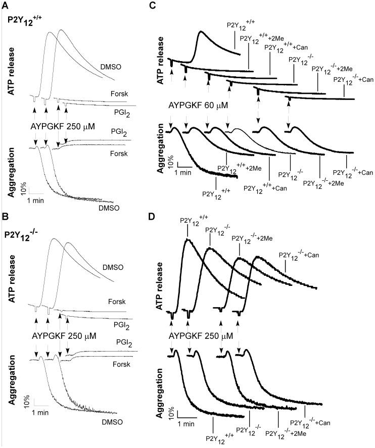 https://cdn.ncbi.nlm.nih.gov/pmc/blobs/7a87/3516503/edd873712a72/pone.0051037.g001.jpg