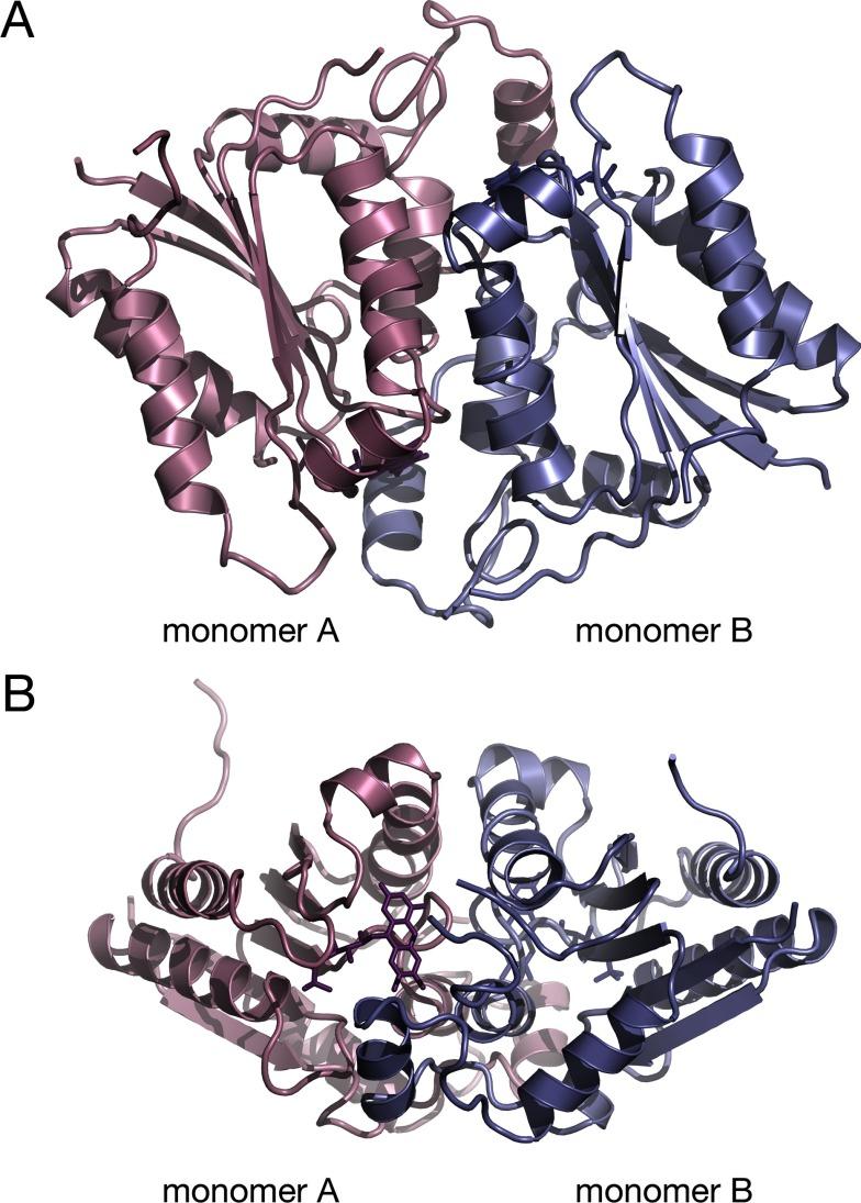 https://cdn.ncbi.nlm.nih.gov/pmc/blobs/7a87/4274662/16289694c17c/bsr2014-0143i001.jpg