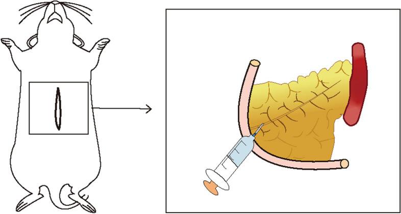 https://cdn.ncbi.nlm.nih.gov/pmc/blobs/7a89/11034057/011ee8e6f99a/12944_2024_2102_Fig2_HTML.jpg