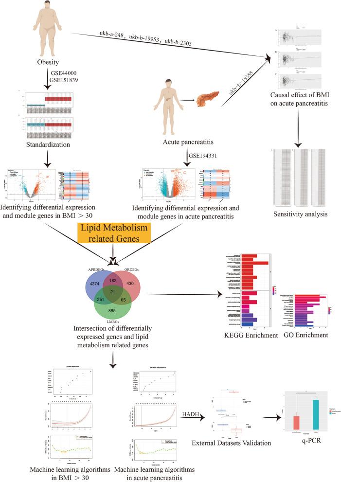 https://cdn.ncbi.nlm.nih.gov/pmc/blobs/7a89/11034057/06eb138136b6/12944_2024_2102_Fig1_HTML.jpg
