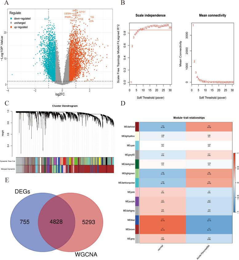 https://cdn.ncbi.nlm.nih.gov/pmc/blobs/7a89/11034057/28666a01b46b/12944_2024_2102_Fig7_HTML.jpg