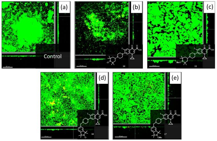 https://cdn.ncbi.nlm.nih.gov/pmc/blobs/7a8a/6273952/f9122c9208f5/molecules-21-00841-g005.jpg