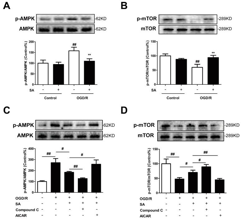https://cdn.ncbi.nlm.nih.gov/pmc/blobs/7a8b/6804185/afb45c480d17/molecules-24-03624-g005.jpg