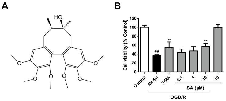 https://cdn.ncbi.nlm.nih.gov/pmc/blobs/7a8b/6804185/dde74103e8ba/molecules-24-03624-g001.jpg
