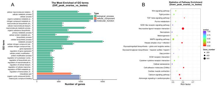 https://cdn.ncbi.nlm.nih.gov/pmc/blobs/7a8e/10778764/b9f91da0396e/ijms-25-00321-g003.jpg