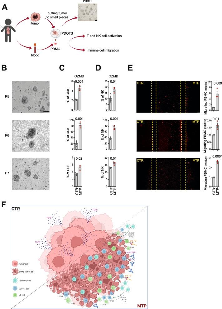 https://cdn.ncbi.nlm.nih.gov/pmc/blobs/7a8f/9670422/175c4f2a14e4/13046_2022_2525_Fig7_HTML.jpg