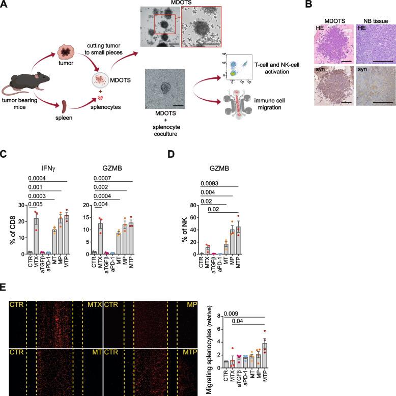 https://cdn.ncbi.nlm.nih.gov/pmc/blobs/7a8f/9670422/64b2f78a0881/13046_2022_2525_Fig4_HTML.jpg