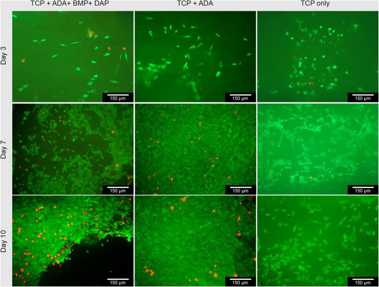 https://cdn.ncbi.nlm.nih.gov/pmc/blobs/7a90/11149308/59058455b4f2/12896_2024_863_Fig4_HTML.jpg
