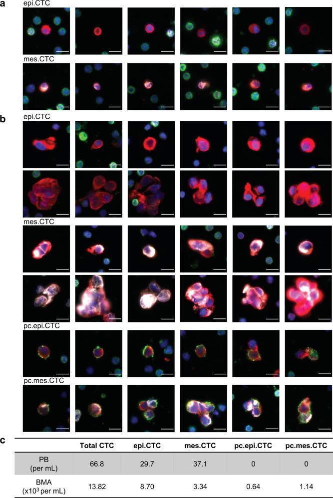 https://cdn.ncbi.nlm.nih.gov/pmc/blobs/7a90/9213535/5335b95addbf/41698_2022_289_Fig2_HTML.jpg