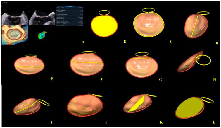 https://cdn.ncbi.nlm.nih.gov/pmc/blobs/7a91/12292555/2e665aa31d3f/biomedicines-13-01753-g005.jpg