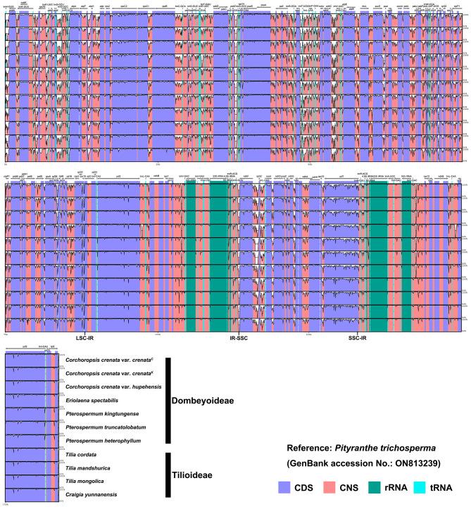 https://cdn.ncbi.nlm.nih.gov/pmc/blobs/7a92/11391762/5edc86352eac/12864_2024_10725_Fig2_HTML.jpg
