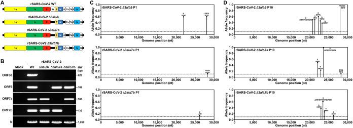 https://cdn.ncbi.nlm.nih.gov/pmc/blobs/7a93/10269623/0328de0c339a/spectrum.00653-23-f001.jpg