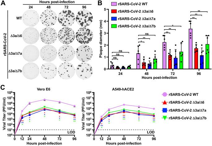 https://cdn.ncbi.nlm.nih.gov/pmc/blobs/7a93/10269623/081a2860d147/spectrum.00653-23-f002.jpg