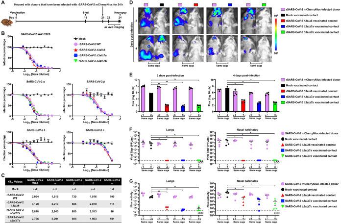 https://cdn.ncbi.nlm.nih.gov/pmc/blobs/7a93/10269623/27ccc302d630/spectrum.00653-23-f006.jpg