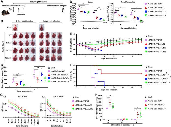 https://cdn.ncbi.nlm.nih.gov/pmc/blobs/7a93/10269623/813118241068/spectrum.00653-23-f003.jpg