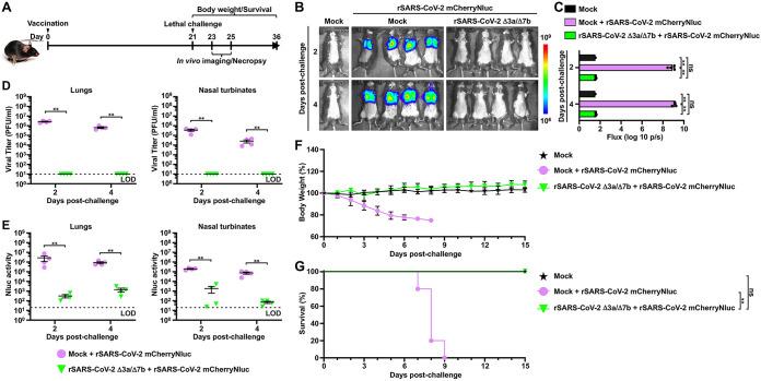 https://cdn.ncbi.nlm.nih.gov/pmc/blobs/7a93/10269623/bff1da91b7f8/spectrum.00653-23-f004.jpg