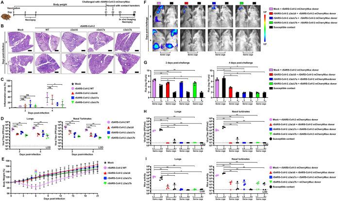 https://cdn.ncbi.nlm.nih.gov/pmc/blobs/7a93/10269623/d432de4fecf0/spectrum.00653-23-f005.jpg
