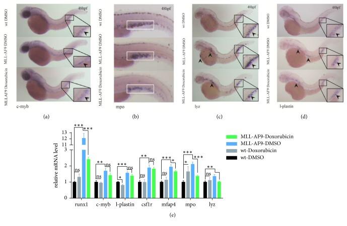 https://cdn.ncbi.nlm.nih.gov/pmc/blobs/7a93/5998191/b1caadb8e06a/BMRI2018-6705842.003.jpg