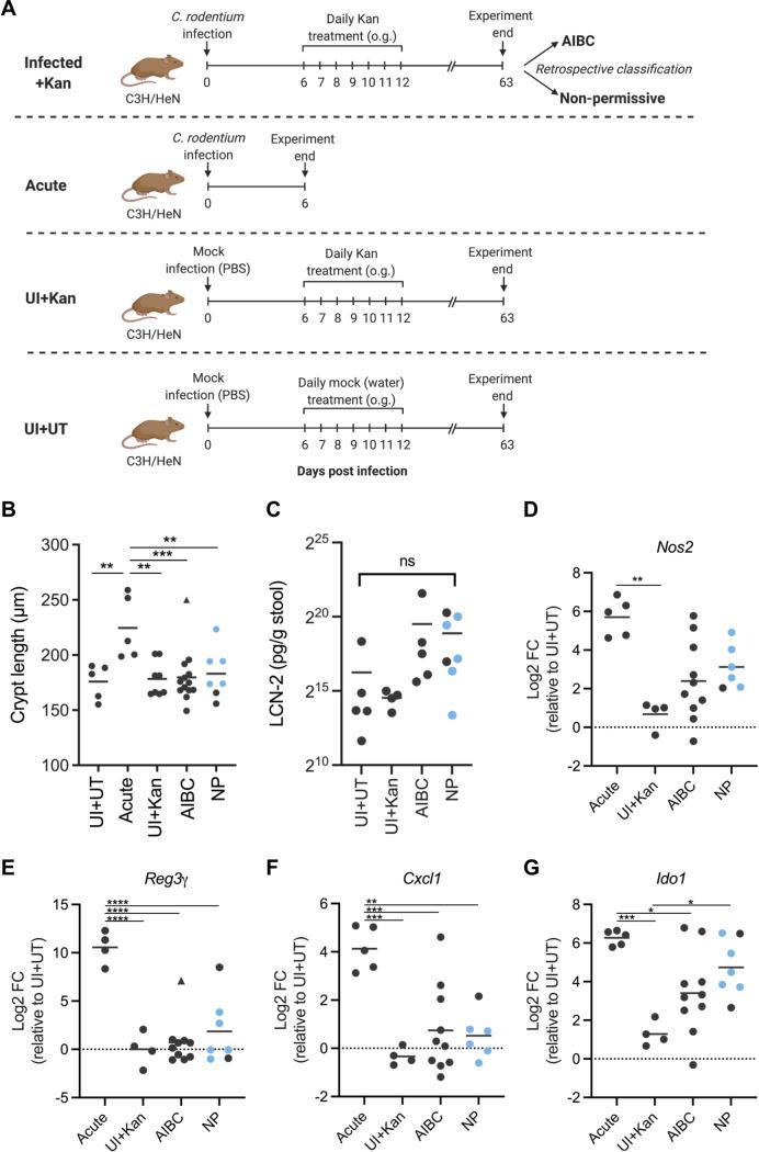 https://cdn.ncbi.nlm.nih.gov/pmc/blobs/7a97/8510533/0cd9a249325f/mbio.02410-21-f002.jpg