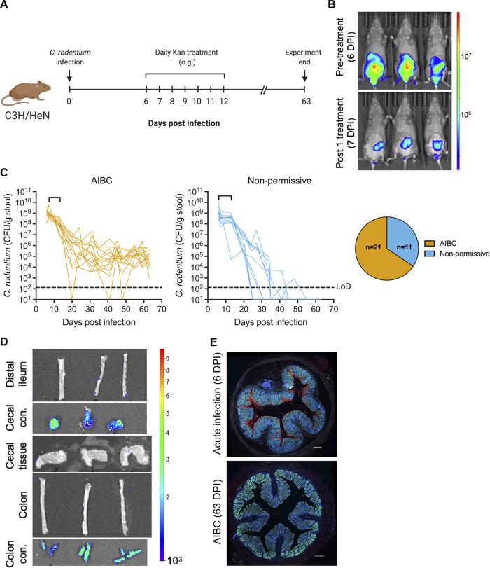 https://cdn.ncbi.nlm.nih.gov/pmc/blobs/7a97/8510533/26b30453d65d/mbio.02410-21-f001.jpg