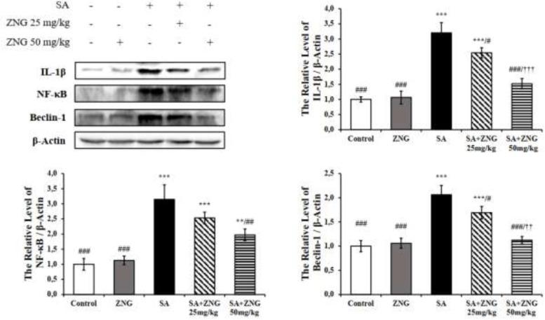 https://cdn.ncbi.nlm.nih.gov/pmc/blobs/7a9b/10440130/60d61678571a/IJBMS-26-1098-g006.jpg