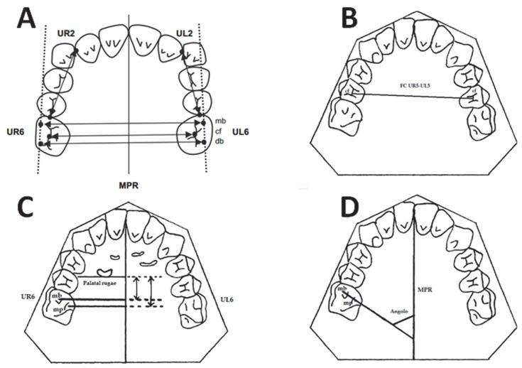 https://cdn.ncbi.nlm.nih.gov/pmc/blobs/7a9b/9600778/1be12d87ea5e/dentistry-10-00179-g004.jpg