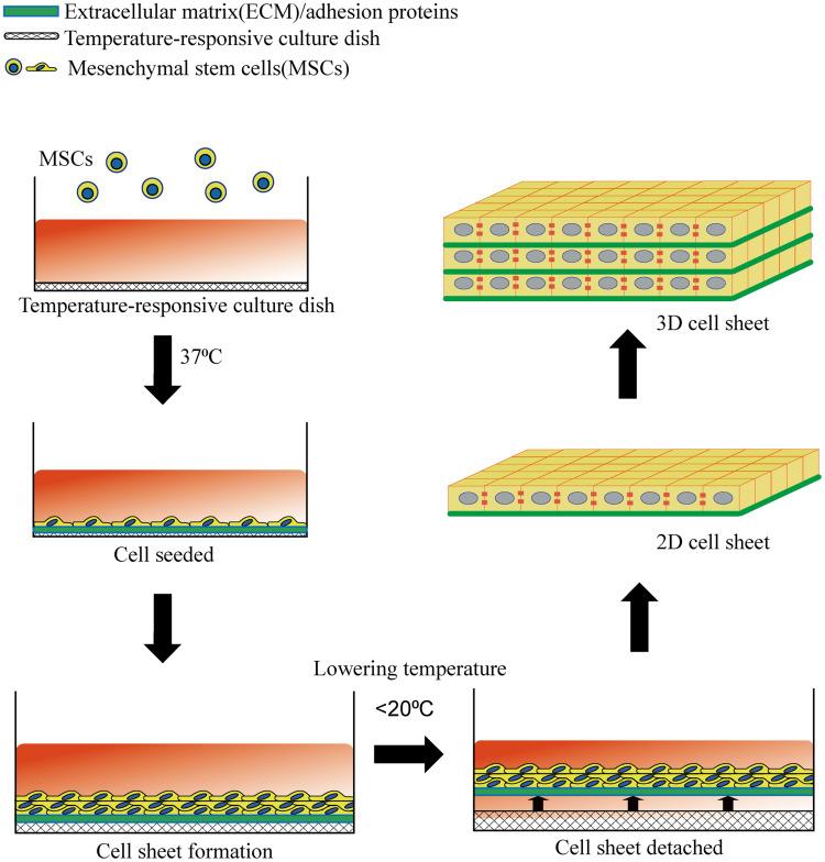 https://cdn.ncbi.nlm.nih.gov/pmc/blobs/7a9f/9789707/43dd66af2973/IJN-17-6491-g0001.jpg