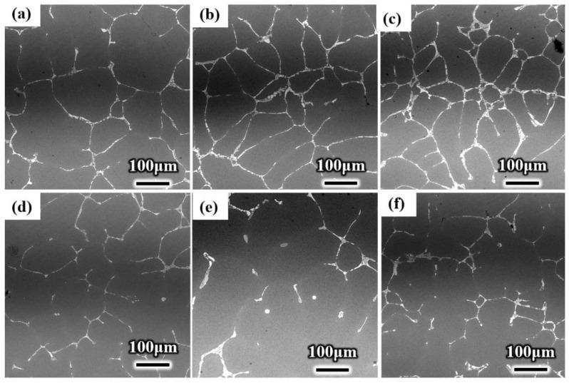 https://cdn.ncbi.nlm.nih.gov/pmc/blobs/7aa3/8838808/3bc03cc109de/materials-15-01067-g005.jpg