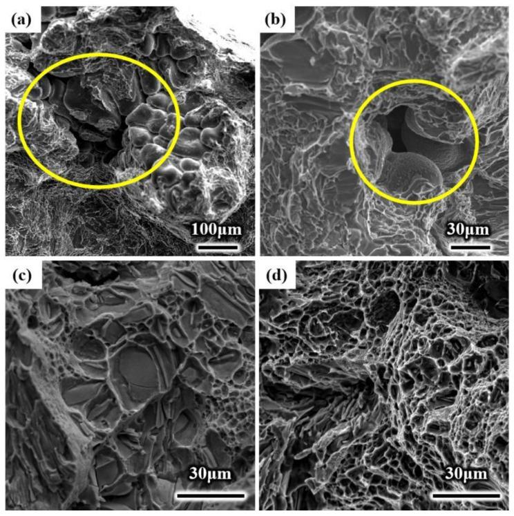 https://cdn.ncbi.nlm.nih.gov/pmc/blobs/7aa3/8838808/9310bc7623c6/materials-15-01067-g007.jpg
