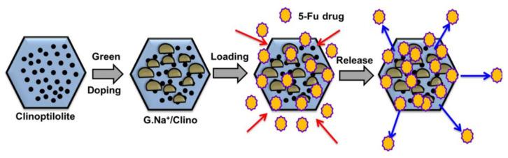 https://cdn.ncbi.nlm.nih.gov/pmc/blobs/7aa5/11643771/4528515c23ad/molecules-29-05713-g004.jpg