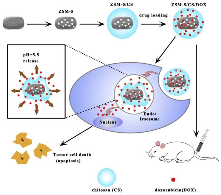 https://cdn.ncbi.nlm.nih.gov/pmc/blobs/7aa5/11643771/635485b5edd8/molecules-29-05713-g001.jpg