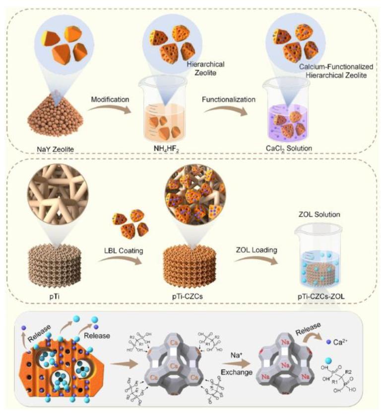 https://cdn.ncbi.nlm.nih.gov/pmc/blobs/7aa5/11643771/9ba1c9382608/molecules-29-05713-g003.jpg
