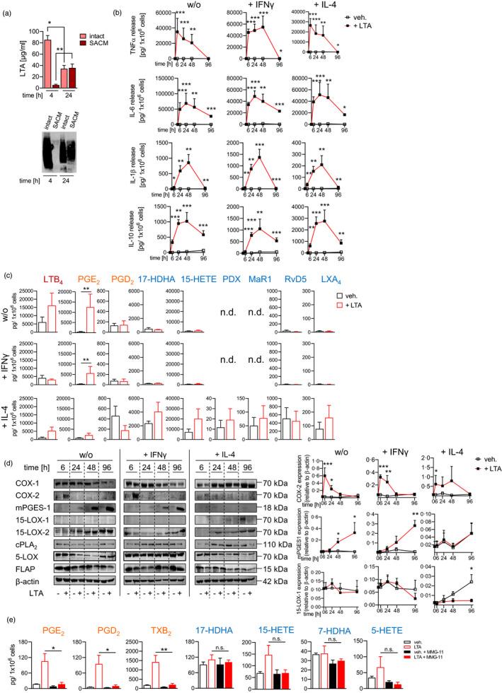 https://cdn.ncbi.nlm.nih.gov/pmc/blobs/7aa6/9426618/48df8e4eaaae/IMM-166-47-g007.jpg