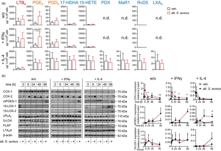 https://cdn.ncbi.nlm.nih.gov/pmc/blobs/7aa6/9426618/5cae8e34b532/IMM-166-47-g003.jpg