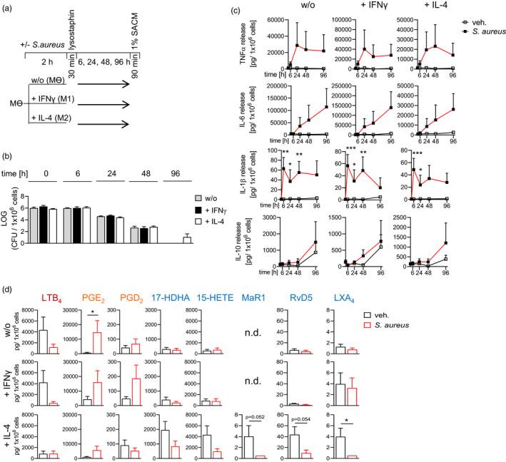https://cdn.ncbi.nlm.nih.gov/pmc/blobs/7aa6/9426618/971d50919ccf/IMM-166-47-g005.jpg