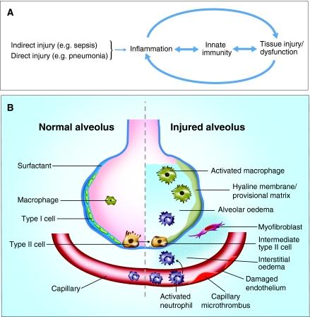 https://cdn.ncbi.nlm.nih.gov/pmc/blobs/7aa8/3046086/0ef635db8509/DMM006213F1.jpg