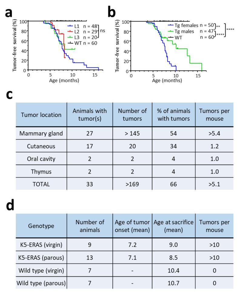 https://cdn.ncbi.nlm.nih.gov/pmc/blobs/7aa9/8582886/416f9756d01a/cancers-13-05588-g006.jpg