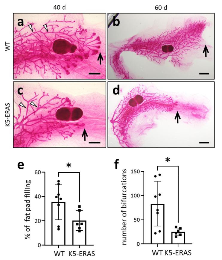 https://cdn.ncbi.nlm.nih.gov/pmc/blobs/7aa9/8582886/5d5570477a49/cancers-13-05588-g004.jpg