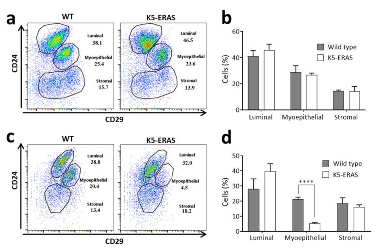 https://cdn.ncbi.nlm.nih.gov/pmc/blobs/7aa9/8582886/8879715f99b5/cancers-13-05588-g010.jpg