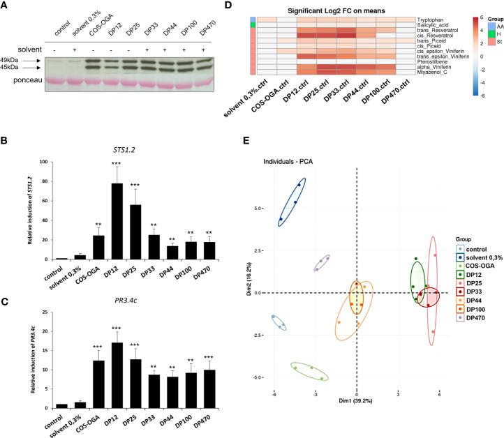 https://cdn.ncbi.nlm.nih.gov/pmc/blobs/7aac/10879612/c0b68319c4cf/fpls-15-1360254-g002.jpg