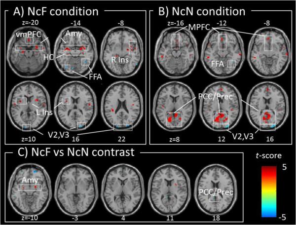 https://cdn.ncbi.nlm.nih.gov/pmc/blobs/7aac/4143558/695ad76a68e5/12868_2014_3785_Fig2_HTML.jpg