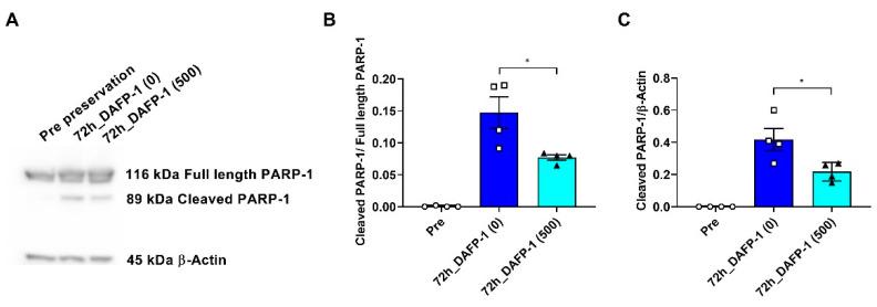 https://cdn.ncbi.nlm.nih.gov/pmc/blobs/7aac/9687565/1931b993fdb1/biomolecules-12-01584-g003.jpg